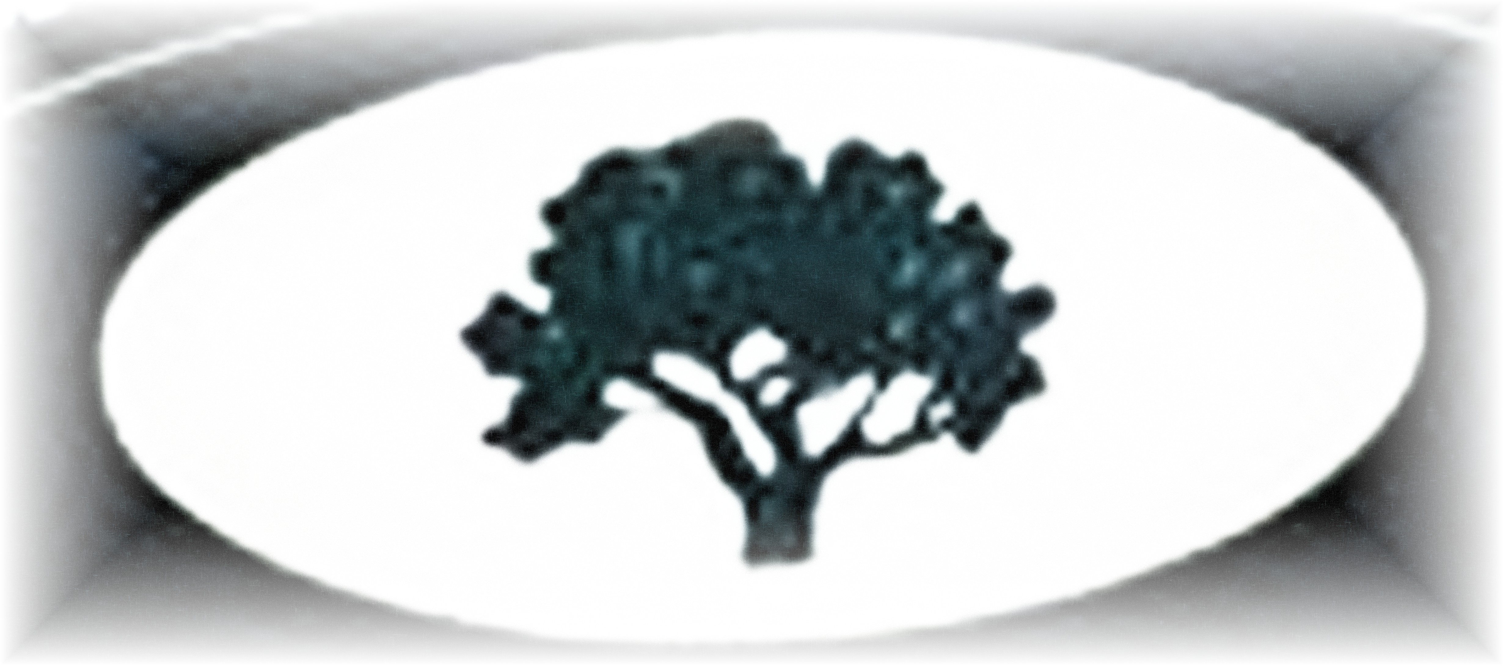 Silver Maples Homes for Sale